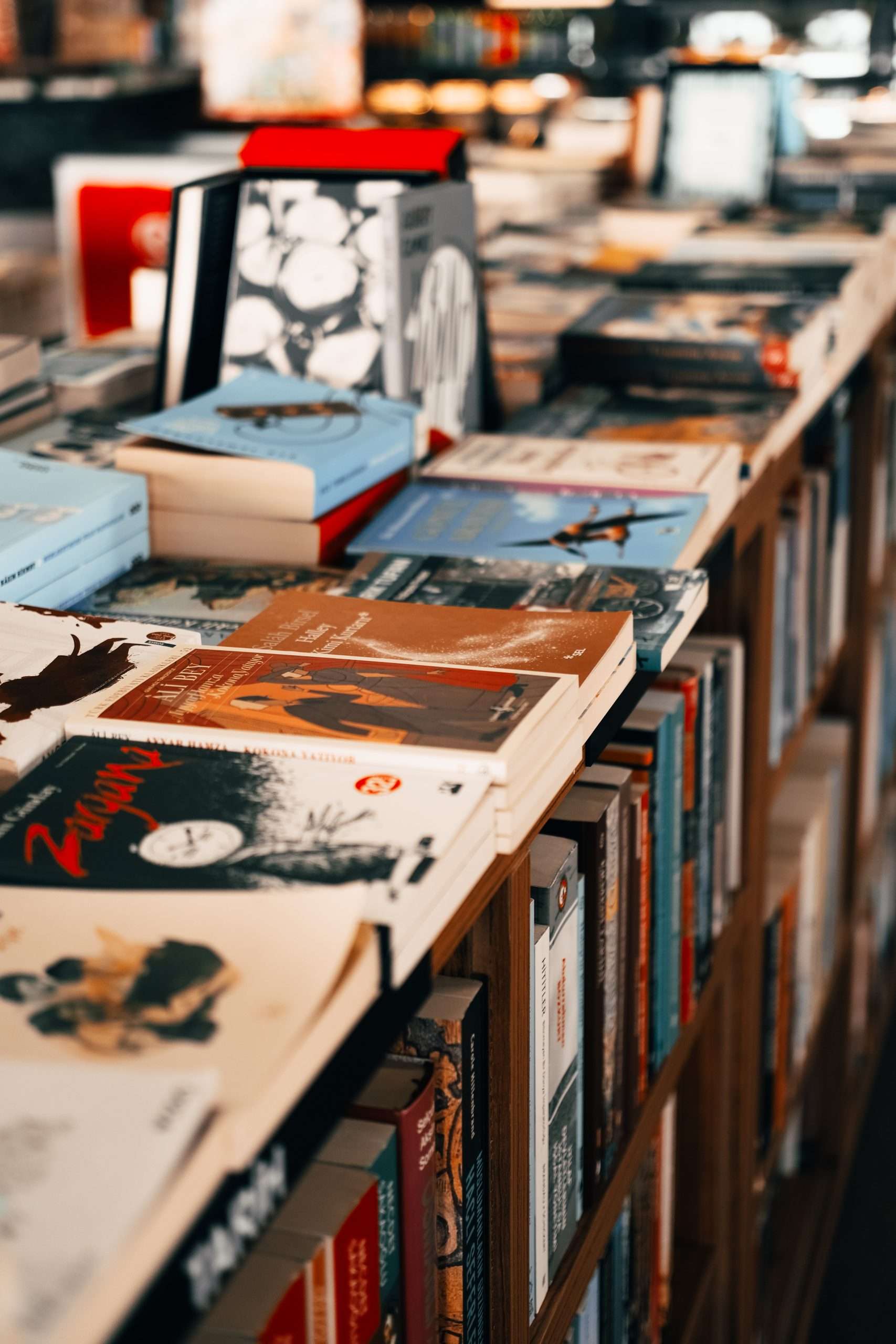 books in a row on a shelf
