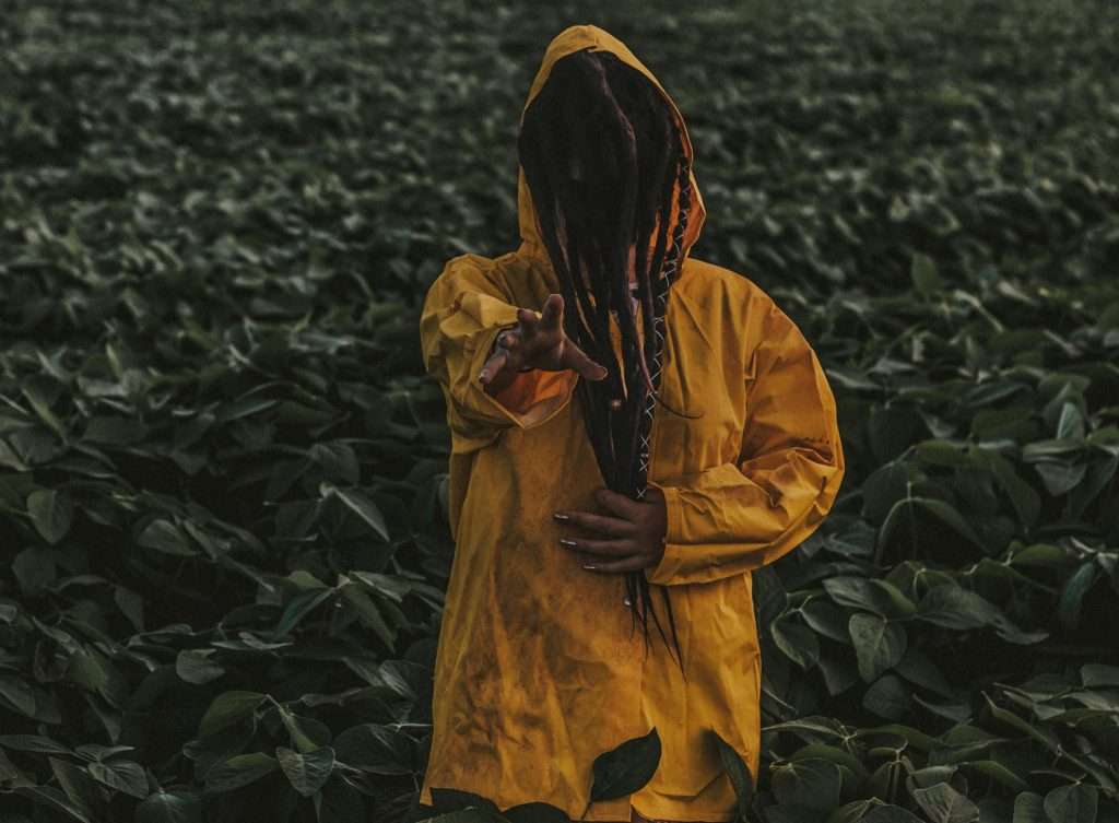 monster in a field
