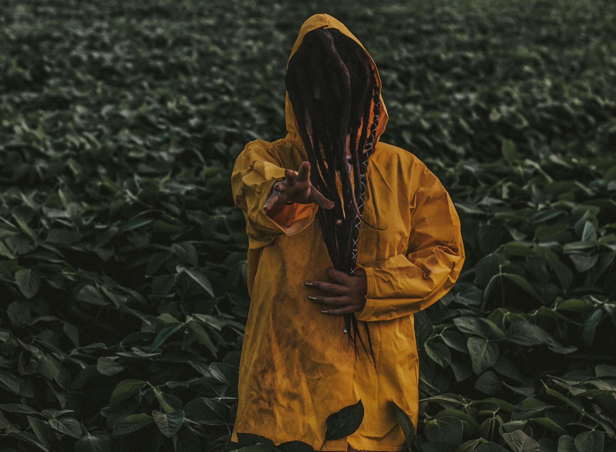 monster in a field
