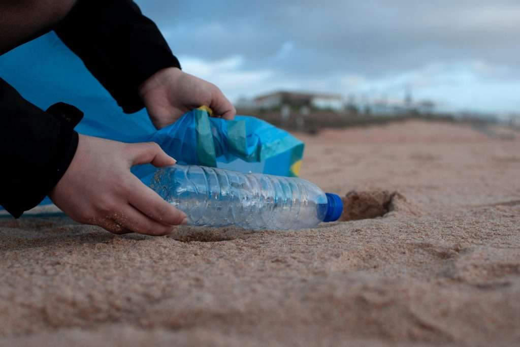 climate change and eco fiction