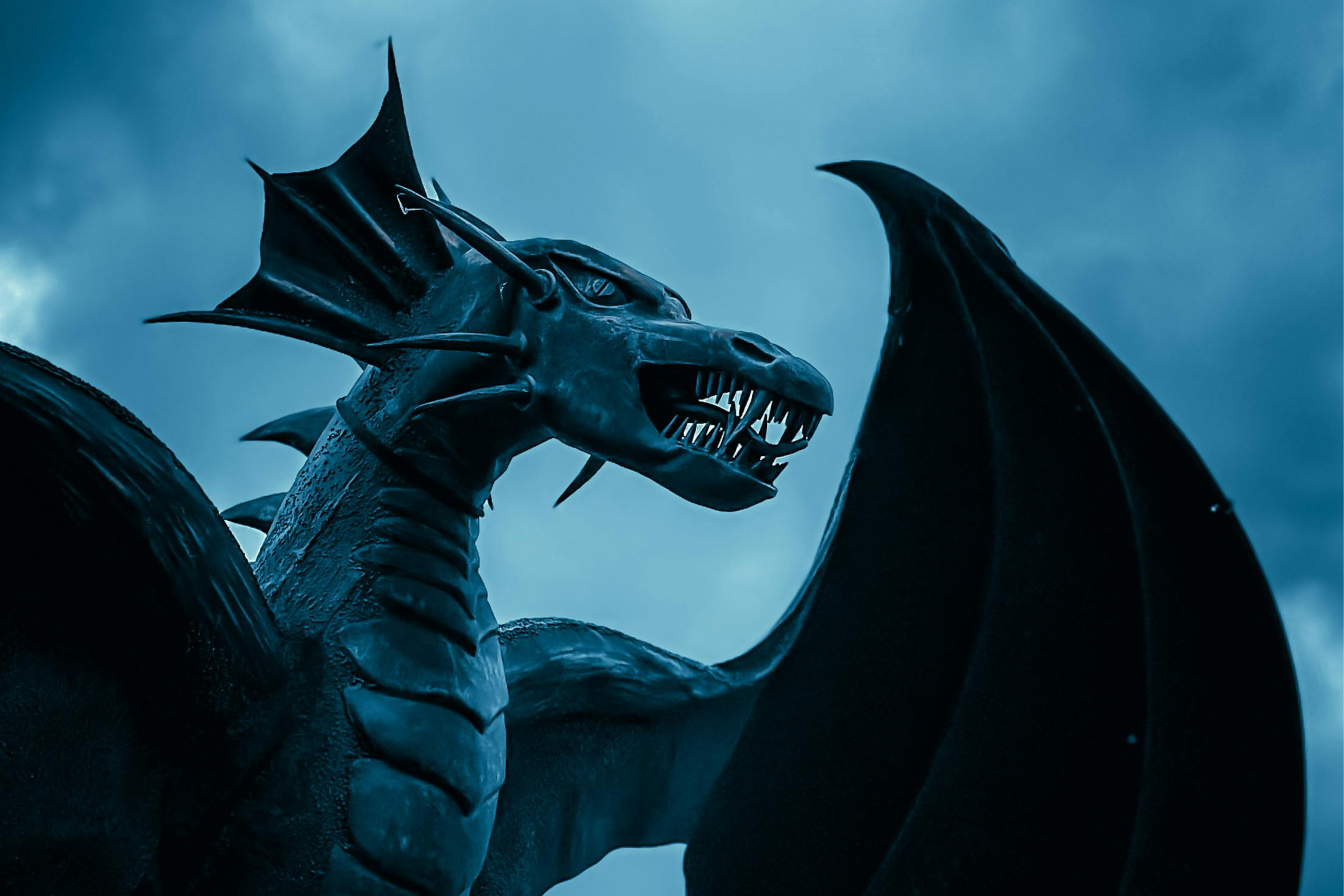 your-ya-hero-has-anxiety-but-the-plot-has-dragons